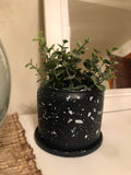 Terrazzo Planter